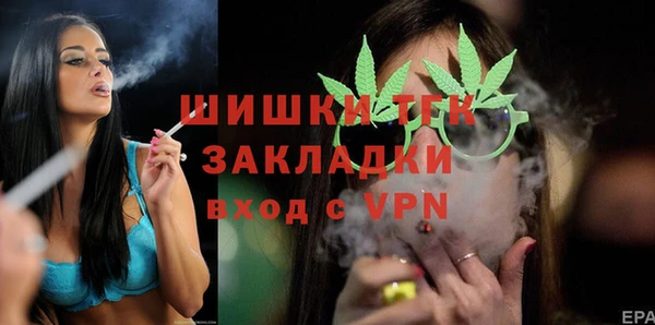 тгк Бородино