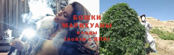 тгк Бородино
